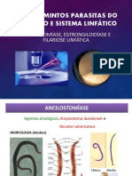 Ancilostomídeos, Strongyloides e Wuchereria