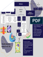 Gráfico Mapa Conceptual Profesional Azul