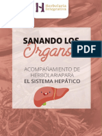 4 Acompañamiento de Herbolarioa para Sanar El Sistema Hepático