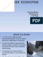 River Ecosystem