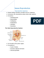 Chapter 3 Human Reproduction