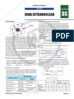 Zona Extranuclear