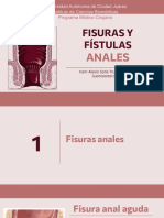 Fisura y Fístula Anal