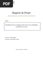 Rapport de Projet: Automatisation Instrumentation Industrielle