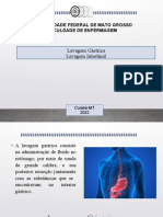 Lavagem Gástrica-Intestinal 2020