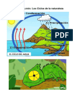 Cyt-Ciclos de La Naturaleza