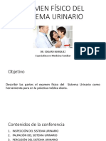 12 Examen Físico Del Sistema Urinario