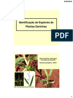 Plantas Daninhas