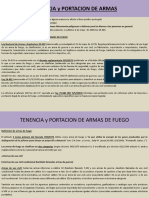 Delitos Contra La Seguridad Publica-Armas