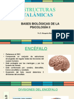 Temas Segundo Parcial