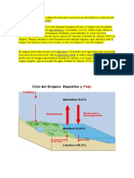 Ciclos Bioquimicos