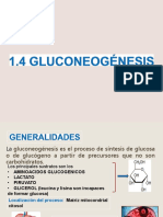 Gluconeogenesis