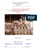 Evaluation DES Productions D'Oignon ET Elaboration DES Strategies DE Commercialisation Galmi