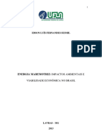 TCC - Energia Maremotriz - Impactos Ambientais e Viabilidade Econômica No Brasil