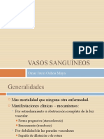 Vasos Sanguíneos