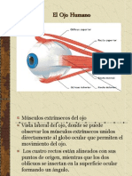 El Ojo Humano II