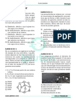 Biología Ipluton1