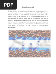 Conclusiones Del Café