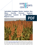 Agriculture Sorghum Market