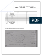 Grade IV EVS I L1 Green Plants Notebook Work