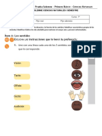 Prueba Solemne Ciencias Primero