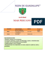 Mar Peruano: Actividad