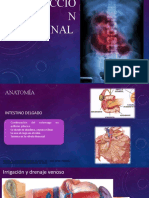 Obstruccion Intestinal