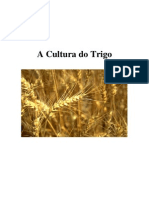 A Cultura Do Trigo