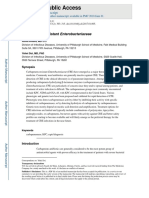 Carbapenem-Resistant Enterobacteriaceae