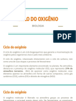 Ciclo Do Oxigênio