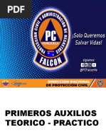 Primeros Auxilios Basicos 2023 (Autoguardado)