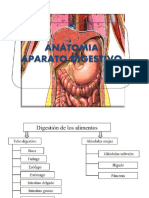 5.a ANATOMIA