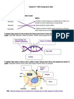 Evaluation N°2 Corrigée