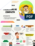 Organizador Gráfico PROBLEMAS DE CONDUCTA