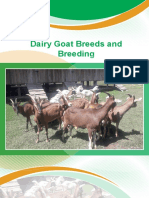 Dairy Goat Breeds and Breeding