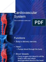 Cardiovascular System Notes