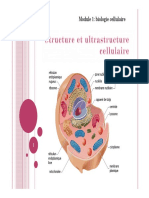 132 Biologie Cellulaire Divers Auteurs