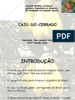 Caju Do Cerrado