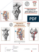 REPASO NEURO 2 - TRONCO y NERVIOS CRANEALES