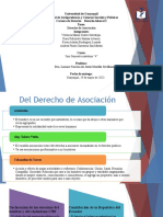 Derecho de Asociacion Grupo 1