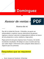 David Domínguez: Asesor de Ventas Virtuales