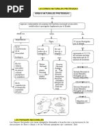 Las Áreas Naturales Protegidas