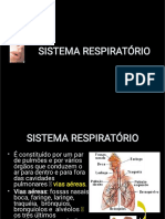 Sistema Respiratório