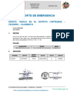 Modelo - de - Reporte - Preliminar - Cortegana. CP de Yagen - Palma Anidina