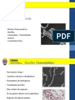 Bacteriología 4