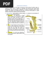 3.excretory System of Earthworm