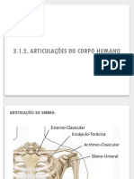 C9 - PARTE 3.1.2. Articulações Do Corpo Humano