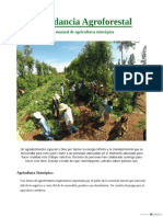 Abundancia Agroforestal Sintrópica