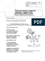 Act - Evaluada.sintesis - Lenguaje .1ºbàsico Iiºsemestre Ximena Ll.