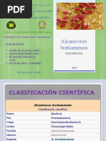 Bacteria Alcanivorax